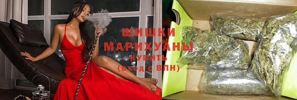 соль ск Коряжма